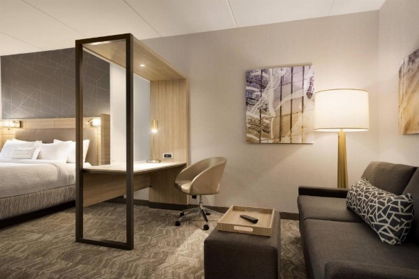 SpringHill Suites by Marriott Allentown Bethlehem/Center Valley image 25